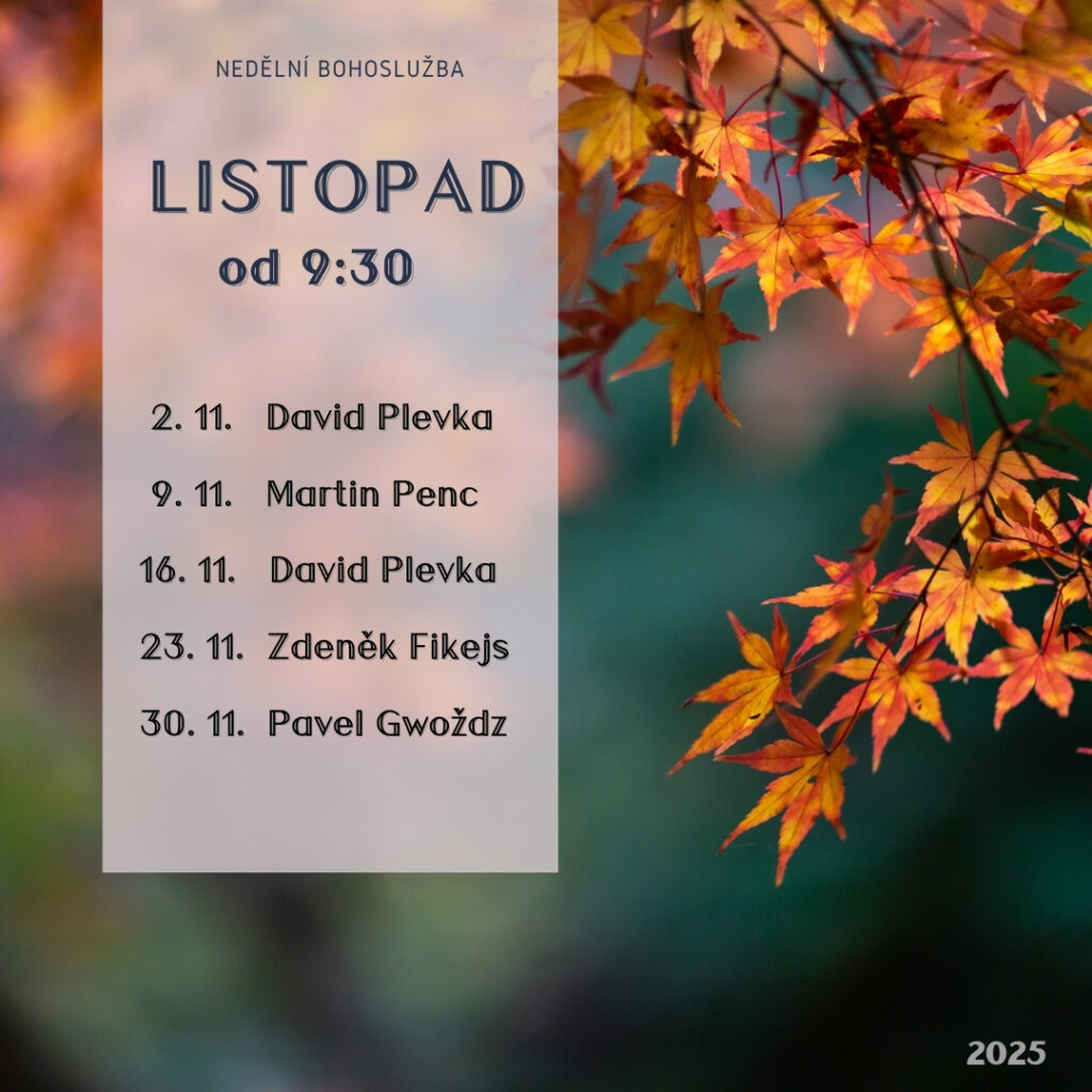 Volné téma (2025-11)